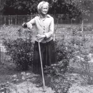 Týden s básnířkou: Anna Pammrová - ...Svátečně vzácný úkaz