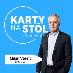 Šéf Slovalco Milan Veselý: Verím, že aj vo vláde 2027 zvíťazí zdravý rozum