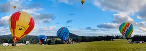 Zprávy z lesa #100 🍾