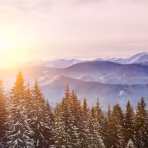Služby Božie 10. 12. 2023 | Slnko spravodlivosti