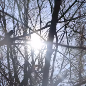 Sobota po 4. pôstnej nedeli