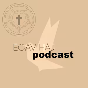 2. nedeľa po Veľkej noci 2025– MISERICORDIAS DOMINI