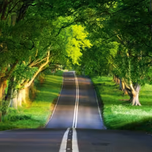 Dopoludnie na Infovojne s Adrianom 21.6.2022