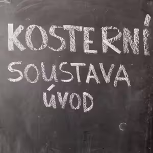 Opěrná soustava – nuda až do morku kostí?