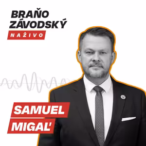 Migaľ: Výbor na kontrolu SIS patrí opozícii. Kolíkovú ako predsedníčku opätovne nepodporíme