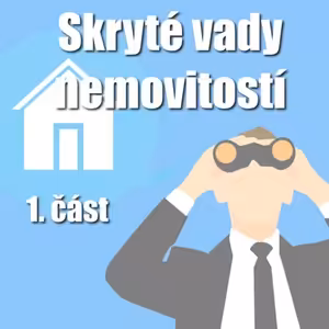 Blog 14 ... Skryté vady nemovitostí. Realitní příběhy s nedobrými konci. Jak se jim jako prodávající můžete vyhnout? ... 1. část