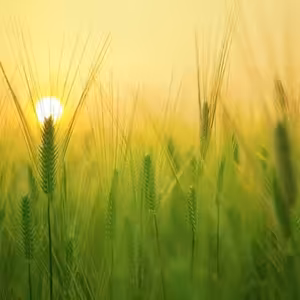 Modlitba online zatva je velka 14062020 SK