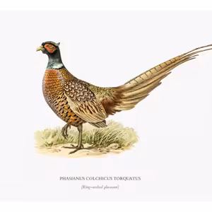 Díl třetí: Listopad, měsíc urousaných pacek