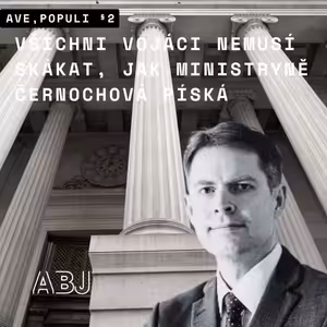 Stíhaní kvůli svým výrokům mohou uspět ve Štrasburku. M. Jurečka "držhubným" porušil služební zákon.