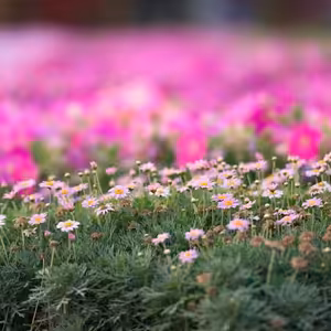 Největším zázrakem je Bůh a jeho láska k nám