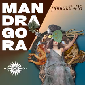 Nejmagičtější droga historie aneb kouzla, sex a mandragora