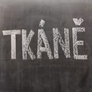 Tkáně – tak konečně probíráme člověka!