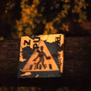 Robiq experiert 2012