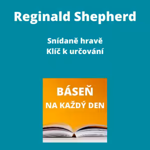 Reginald Shepherd - Snídaně hravě + Klíč k určování