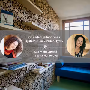 Od vedení jednotlivce k systemickému vedení týmu. #spokojeneavykonne