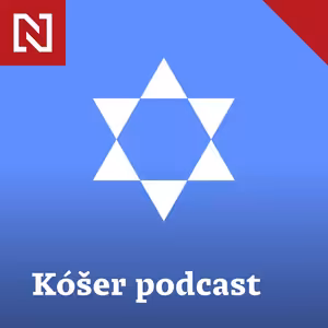 Historické dlažby (po starej Bratislave s Juliou IV.)