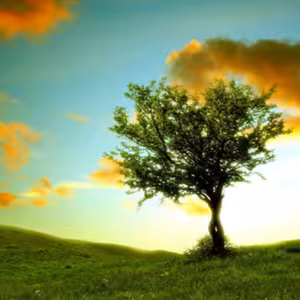 Dopoludnie na Infovojne s Adrianom 3.8.2022