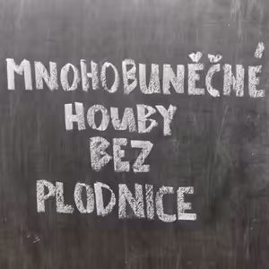 Plísně - opět fakt moc díky! Tentokrát za ATB... A sejry.