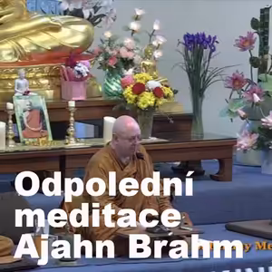 Meditace krok za krokem 🧘| Ajahn Brahm | 10.10.2020 | Buddhismus