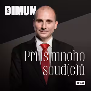 Máme příliš mnoho malých soudů, říká předseda Nejvyššího správního soudu Karel Šimka