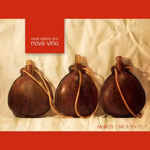 Mesiáš podle Matouše 29 - Nové měchy pro nové víno - Bohuslav Wojnar (10.3.2013)