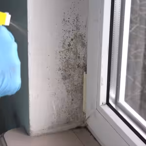 Pleseň na stenách - Čo je systémovým riešením na jej zbavenie?