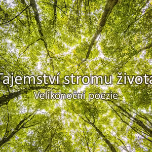 Tajemství stromu života (velkopáteční poezie)