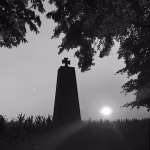 Tomáš Petráček: Les Svíb