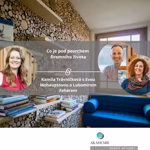 Co je pod povrchem firemního života