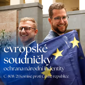 ES: Cizinci v politických stranách a národní identita