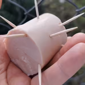 Děti házely psům nebezpečné buřty