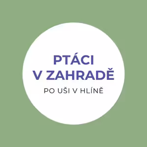 Ptáci v zahradách