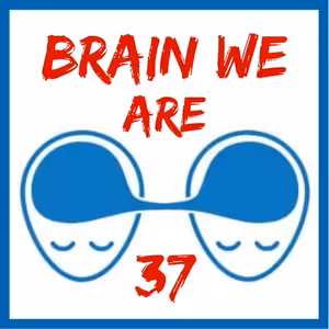 37: Rozbitá informační ekologie a jak se v ní pohybovat?