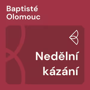 Nedělní kázání