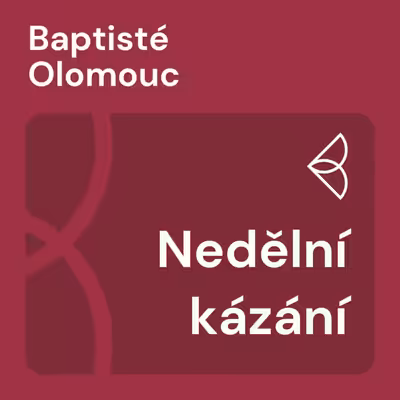 Nedělní kázání