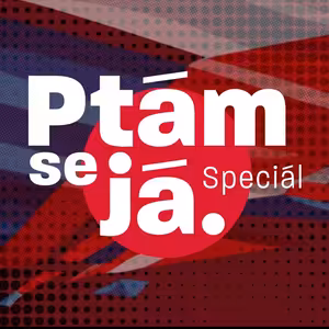 SPD je v úplně ponižující situaci, říká sociolog