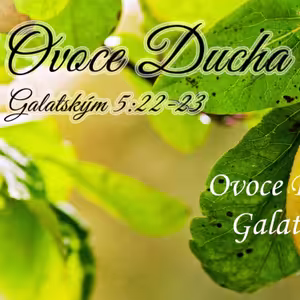 Ovoce Ducha 7: Laskavost