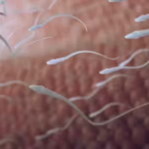 2nd episode – In the Tentacles of the Murmur (The Literature of Crisis): Gender Trouble