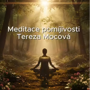 Meditace pomíjivosti