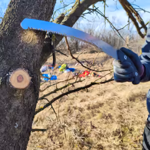 #04: Řez ovocných stromů a ohlédnutí za rokem 2021