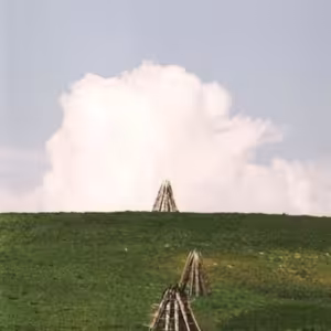 Lesostep (Forest Steppe)