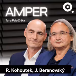 Stát ročně protopí 40 miliard. Přitom může ušetřit desítky procent bez snížení komfortu