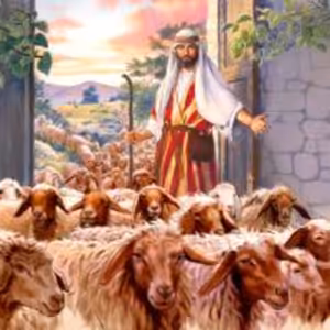 12.nedeľa po Svätej Trojici (J 10,1-21) 30.8.2020 Služby Božie z evanjelického kostola v Poprade