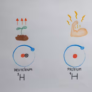 VOZ #10 Svaly, ubikvitinácia a potréningové (ne) jedenie