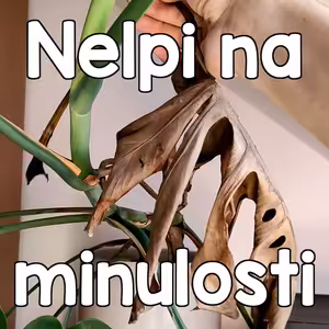 Definuje tě tvá minulost? Může tě to držet pozadu