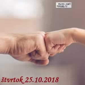 Verejné tajomstvá 227 - 2018-10-25 Dokonalý rodič