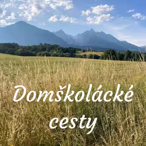 Druhy základních škol