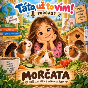 morčata