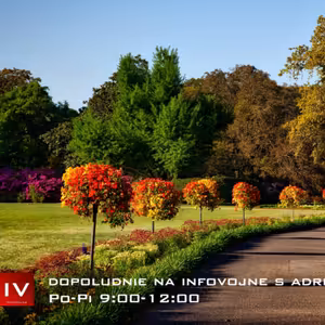 Dopoludnie na Infovojne s Adrianom 3.4.2023