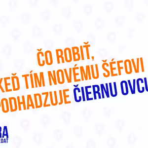 Čo Robiť Keď Tím, Novému Šéfovi, Podhadzuje Čiernu Ovcu - 163.časť Sprievodca Manažera